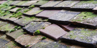 Quainton roof repair costs